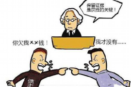 大方大方的要账公司在催收过程中的策略和技巧有哪些？