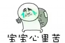 大方如何避免债务纠纷？专业追讨公司教您应对之策